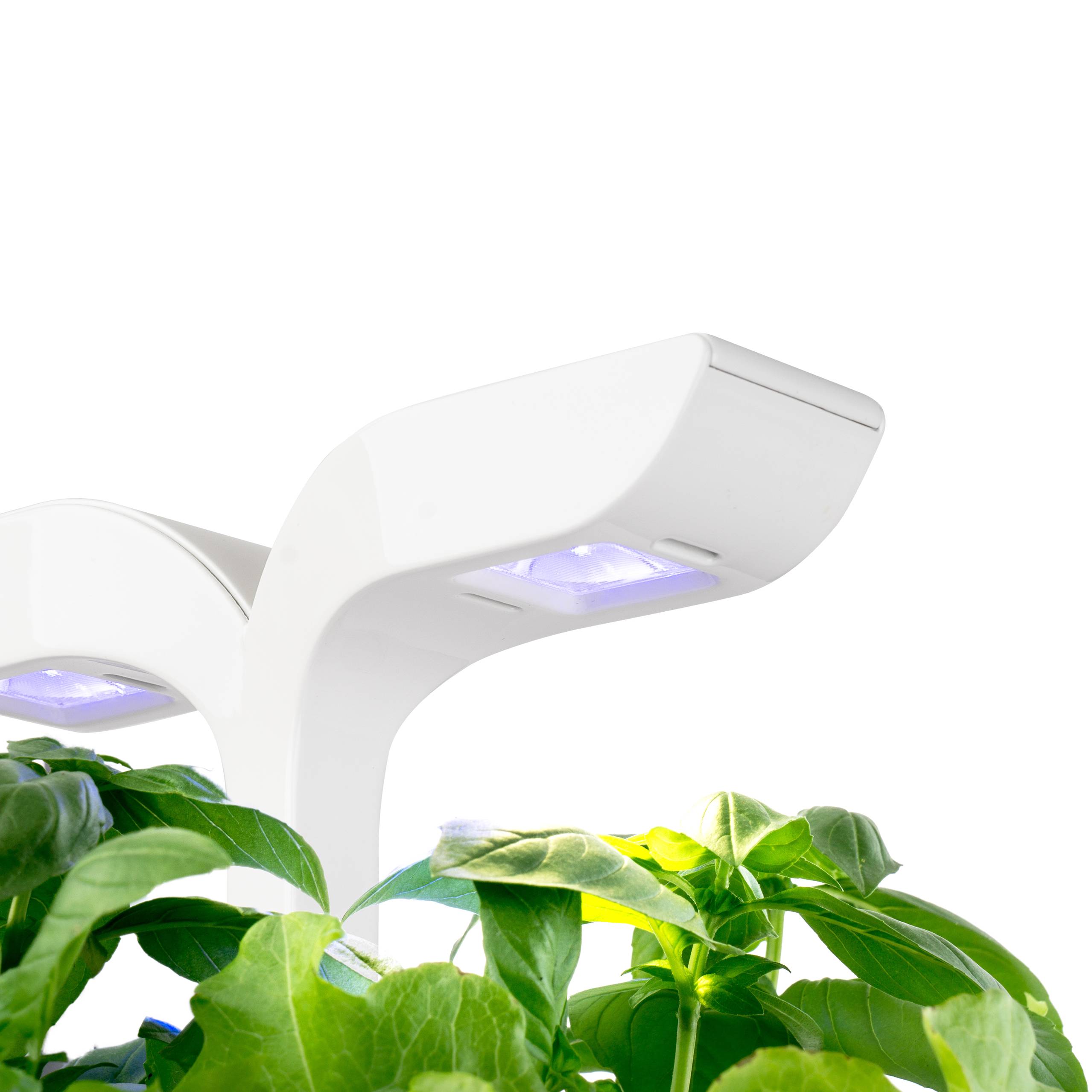 Veritable - Potager d'intérieur Autonome Véritable EXKY Classic - Livré avec 2 Lingots - Véritable - Imagen 3