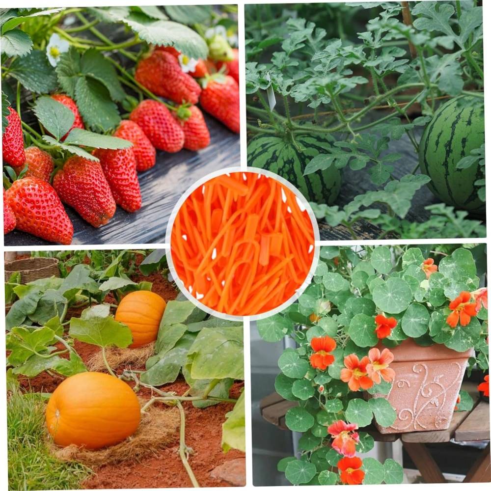 Fixation plantes-Clips de fixation pour plantes 100 pièces - Support réutilisable pour fraises et melons - Résistants aux UV - Living123 - Image 4