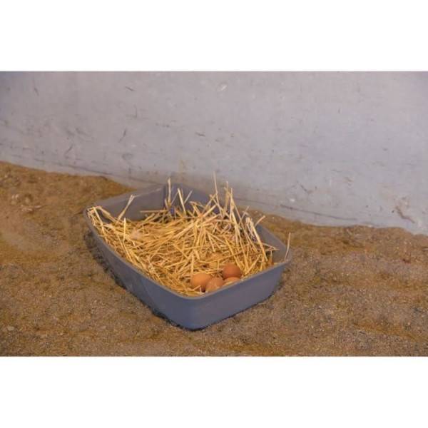 Pondoir pour poules - KERBL - 52 x 39 x 39 cm - Image 4