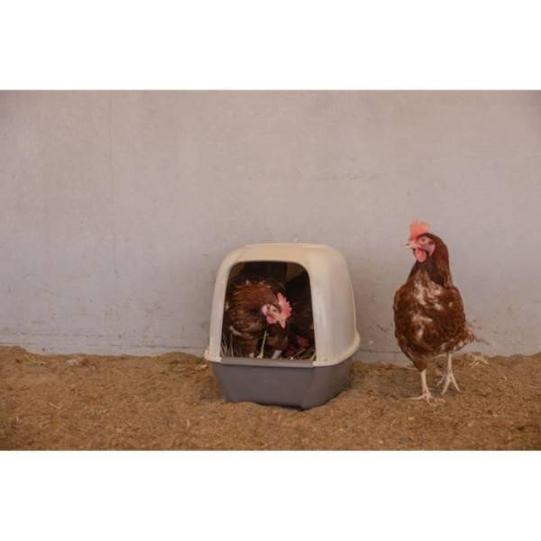 Pondoir pour poules - KERBL - 52 x 39 x 39 cm - Image 1