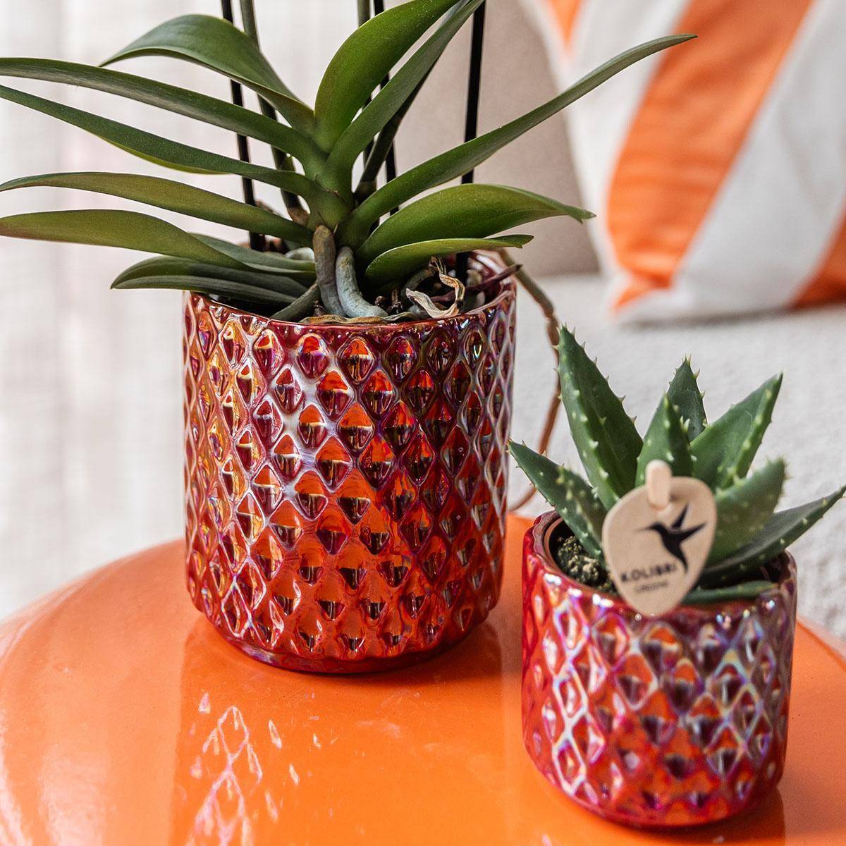 Pot décoratif Diamond Pearl rouge- La Green Touch - Imagen 2