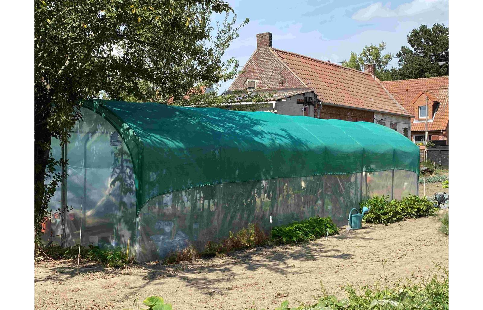 Serre tunnel de jardin - 31,5m² -  3 x 10,5 m - pieds droits - haute résistance à petit prix - LES SERRES TONNEAU - Image 3