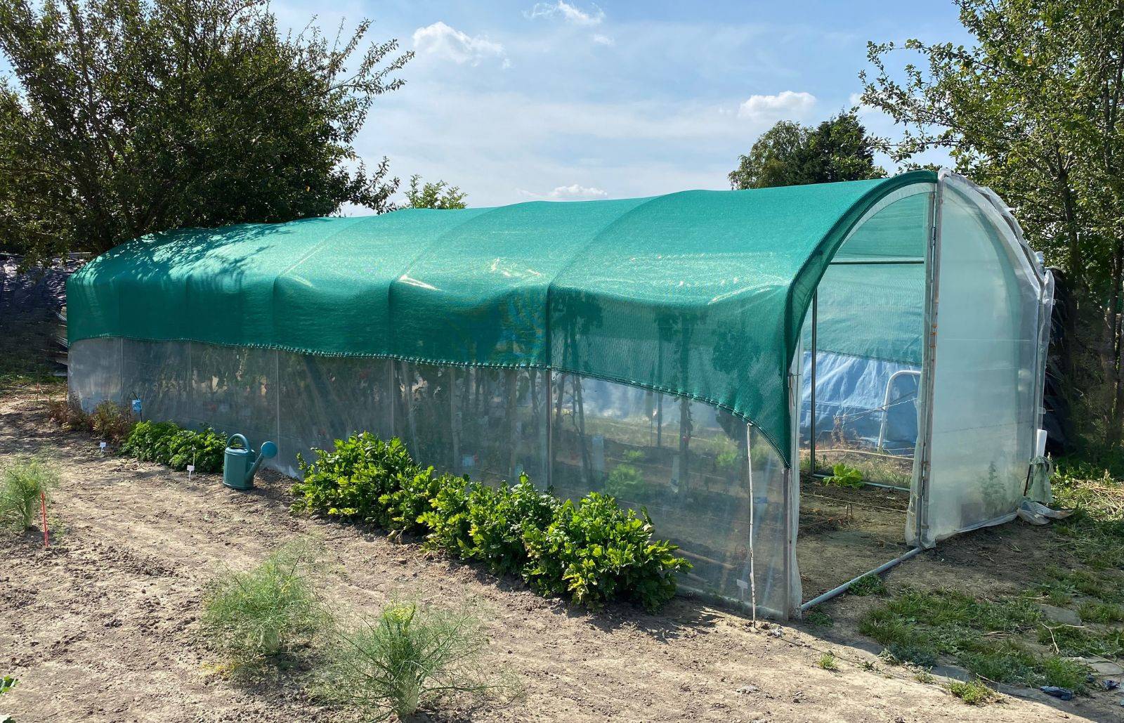 Serre tunnel de jardin - 31,5m² -  3 x 10,5 m - pieds droits - haute résistance à petit prix - LES SERRES TONNEAU