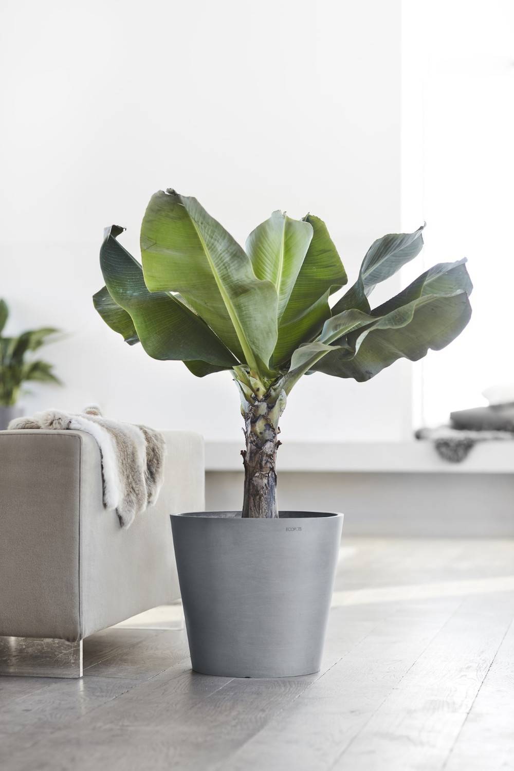 Ecopots - Pot Rond Amsterdam 40 Bleu Gris - Ø 40 x H. 35 cm - 28 L ECOPOTS - Imagen 5