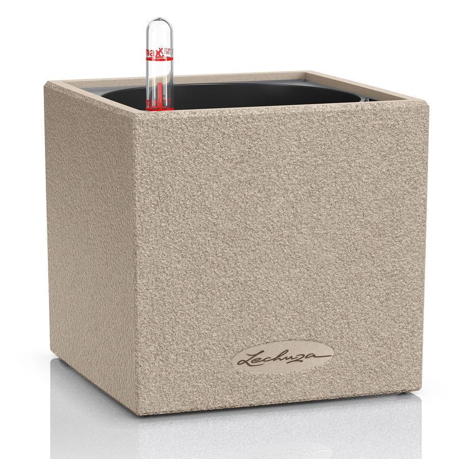 Lechuza - Canto Stone 14 - 14x14x14 cm - Kit Complet, beige sable Lechuza
