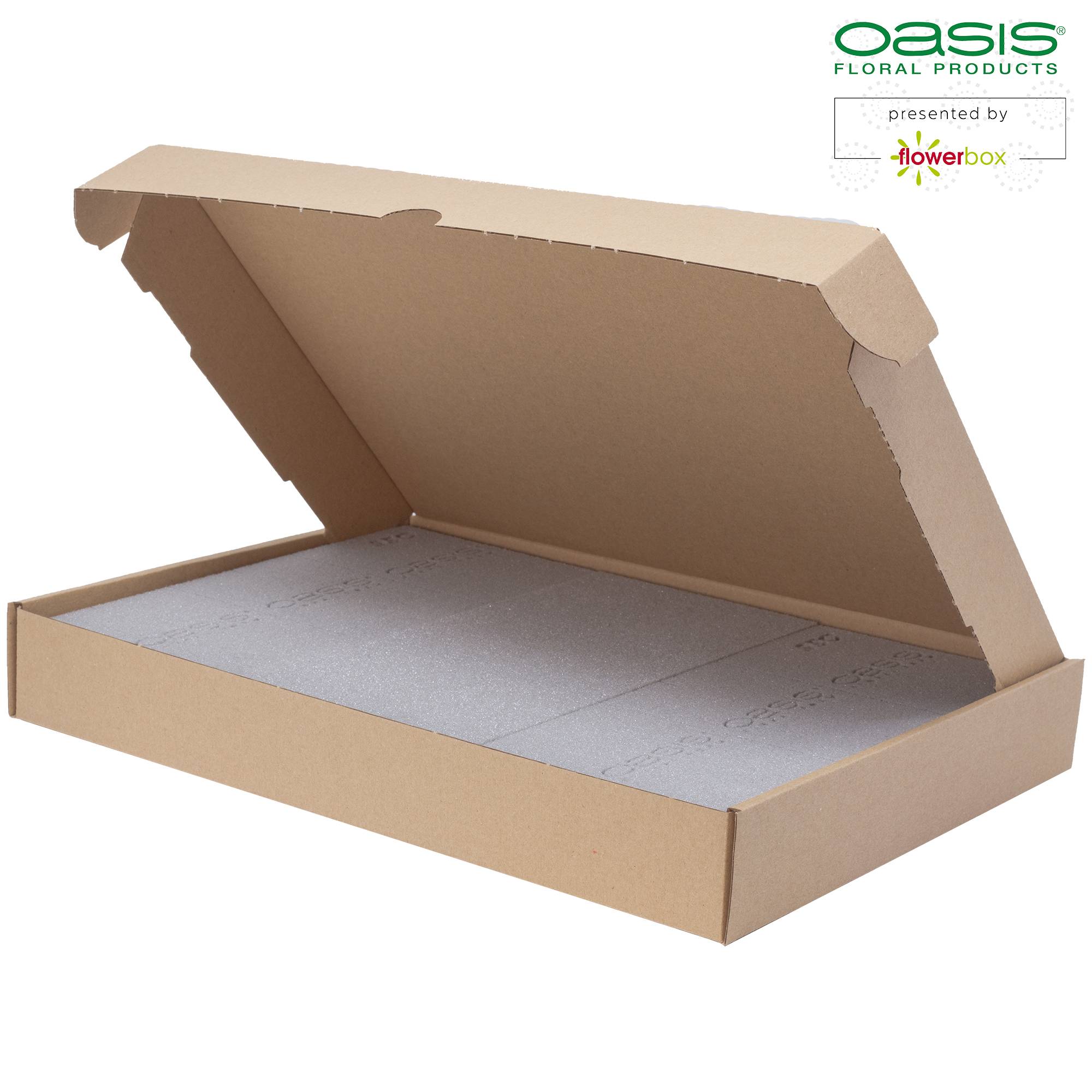 3x OASIS® SEC mousse de piquage pour arrangements de fleurs séchées - 23 x 11 x 3,6 cm - pour mariage, anniversaire, église, en forme de brique - Image 2
