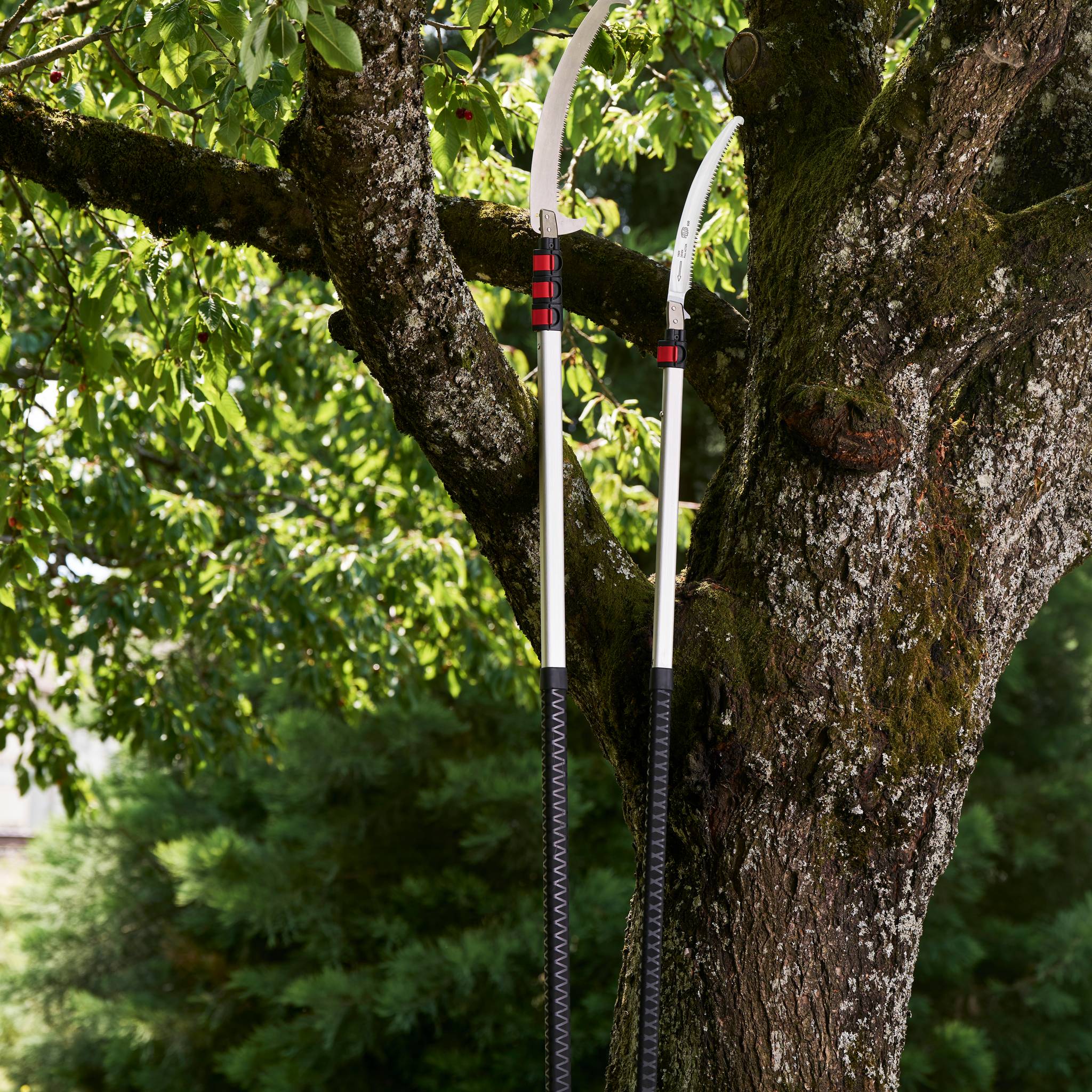 Felco - FELCO 682 – Scie d'élagage télescopique, lame incurvée 330 mm, géométrie unique des dents, longueur jusqu'à 3,4 m, légère et durable - Image 2