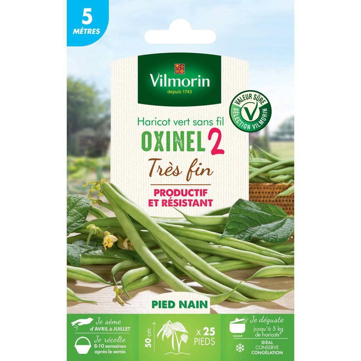 Vilmorin - Graines de Haricot Nain Vert Oxinel 2  - 5 metres - Imagen 1