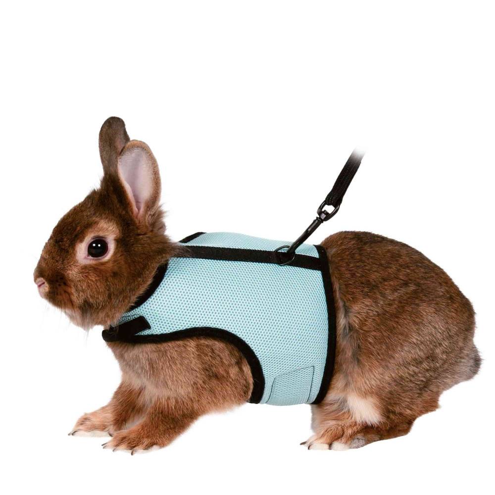 Harnais doux avec laisse 1,2 m pour lapins nains couleur aléatoire - Imagen 2