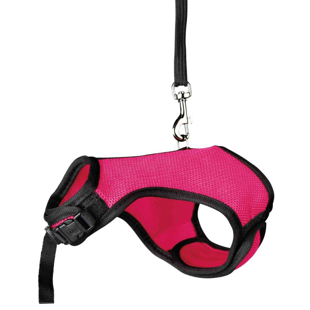 Harnais doux avec laisse 1,2 m pour lapins nains couleur aléatoire - Imagen 3