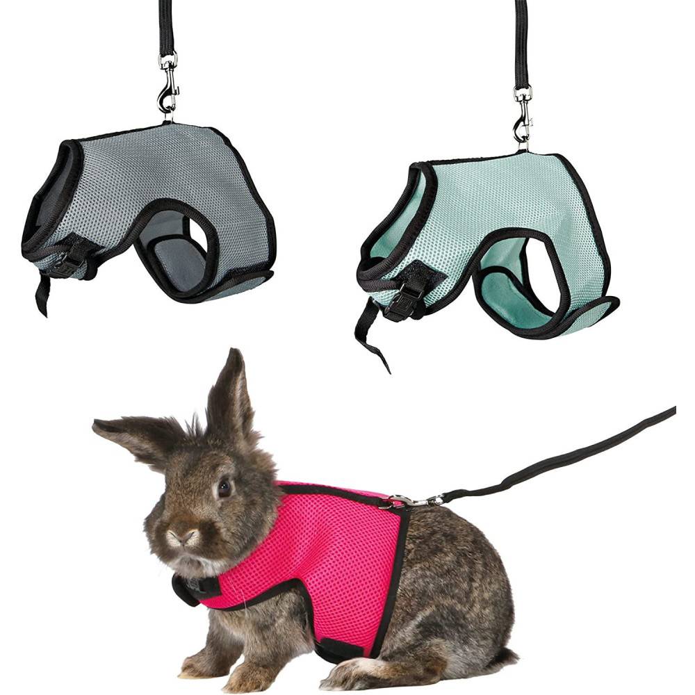 Harnais doux avec laisse 1,2 m pour lapins nains couleur aléatoire - Imagen 1