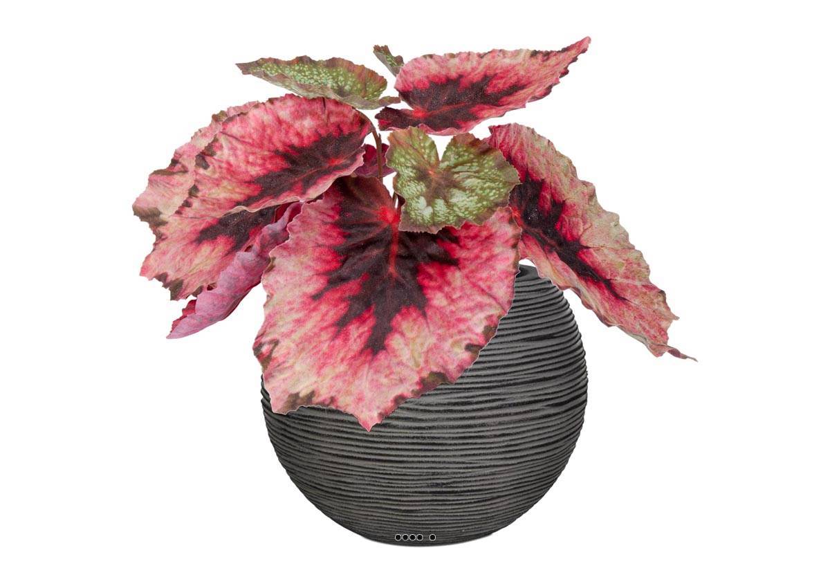 Artificielles - Bégonia royal factice en pot H20cm D22cm superbe couleur Pourpre-rose - couleur: Pourpre-rose 331 - Imagen 2