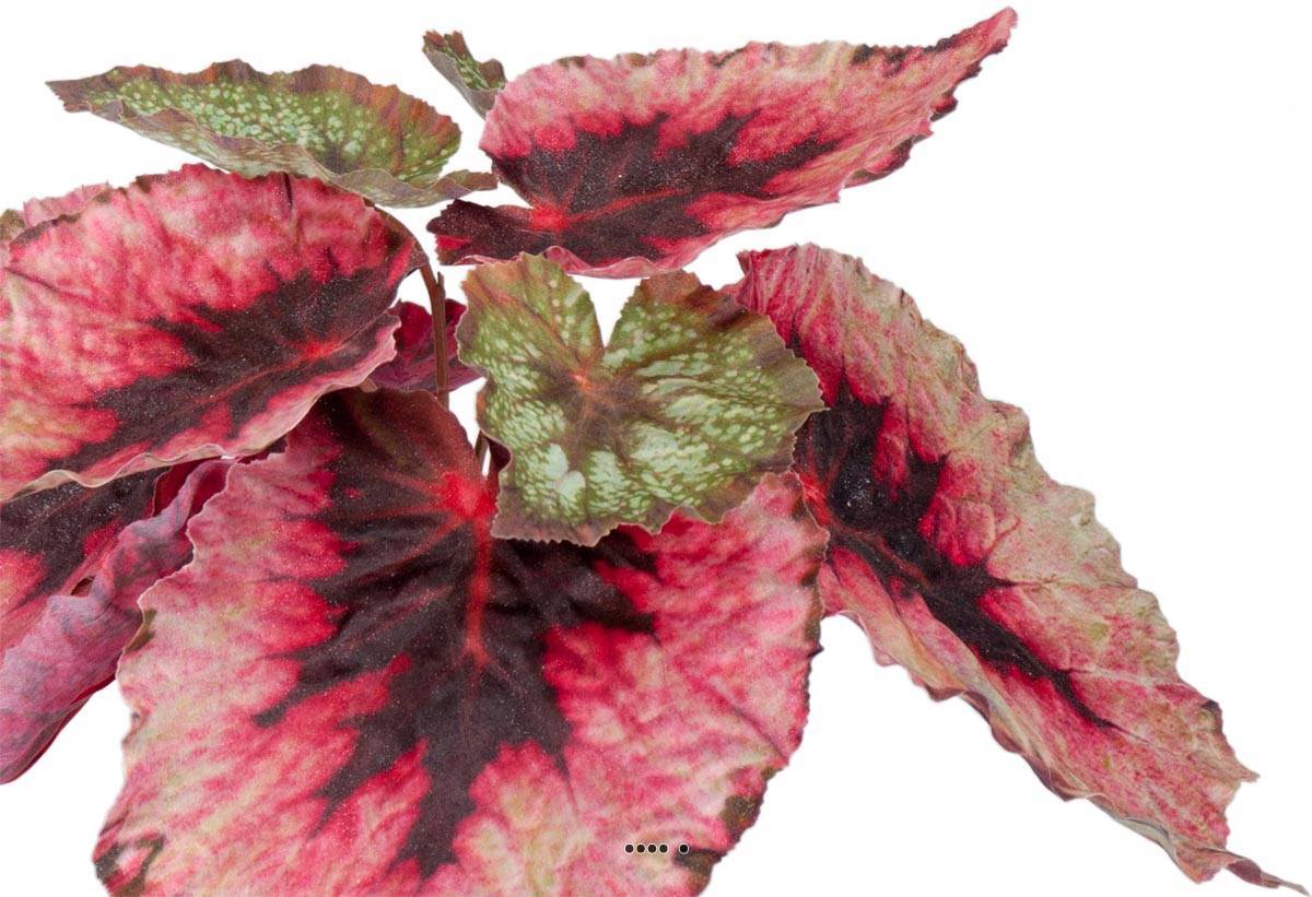 Artificielles - Bégonia royal factice en pot H20cm D22cm superbe couleur Pourpre-rose - couleur: Pourpre-rose 331 - Imagen 3