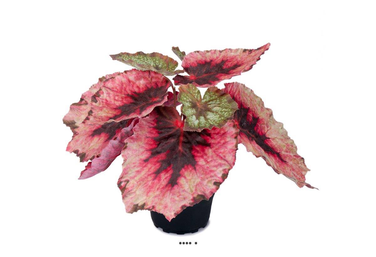 Artificielles - Bégonia royal factice en pot H20cm D22cm superbe couleur Pourpre-rose - couleur: Pourpre-rose 331 - Imagen 1