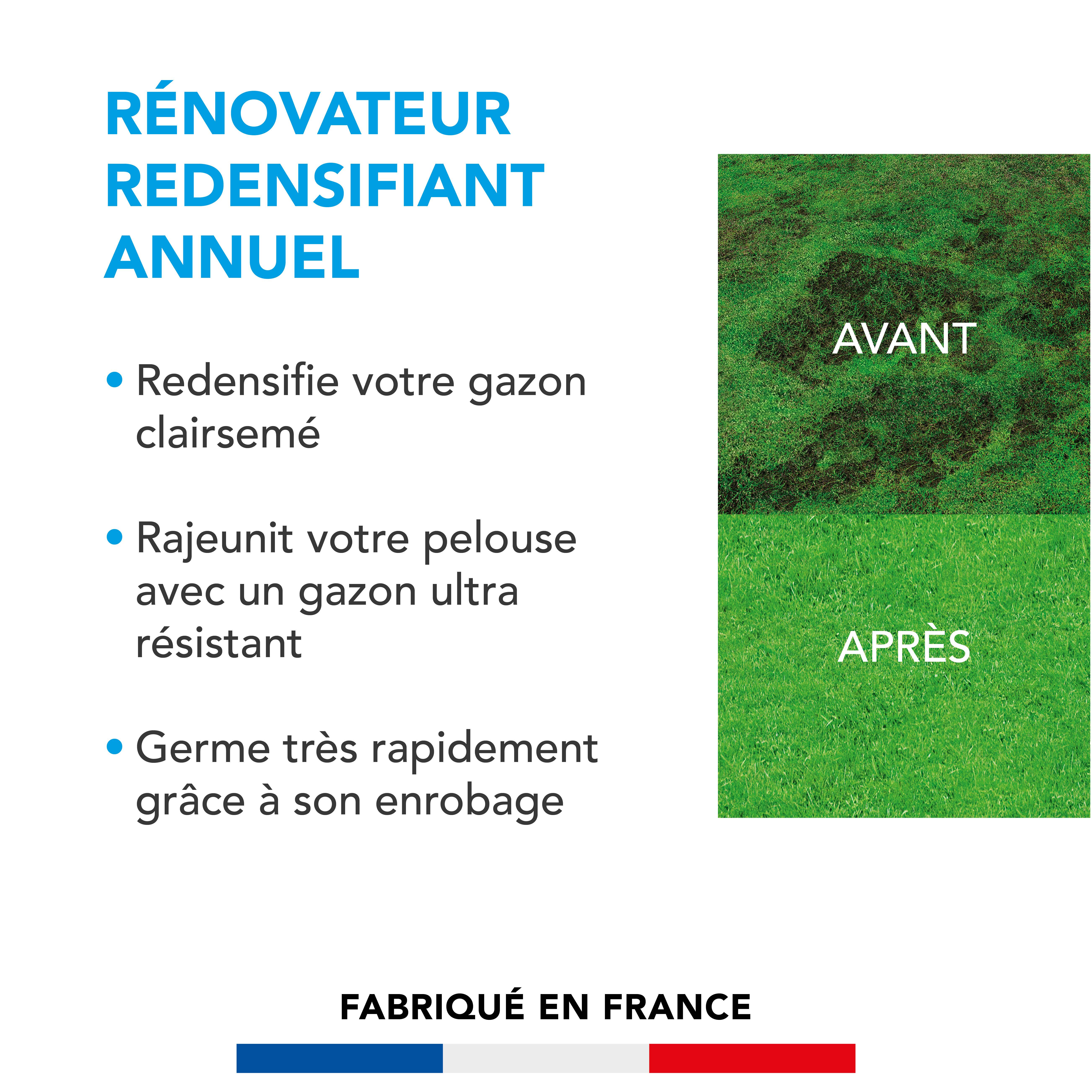 Soin Rénovateur Redensifiant - Redensifie et Rajeunit le Gazon - Germe Très Rapidement - Semences avec Enrobage - 3KG - BARENBRUG - Image 2