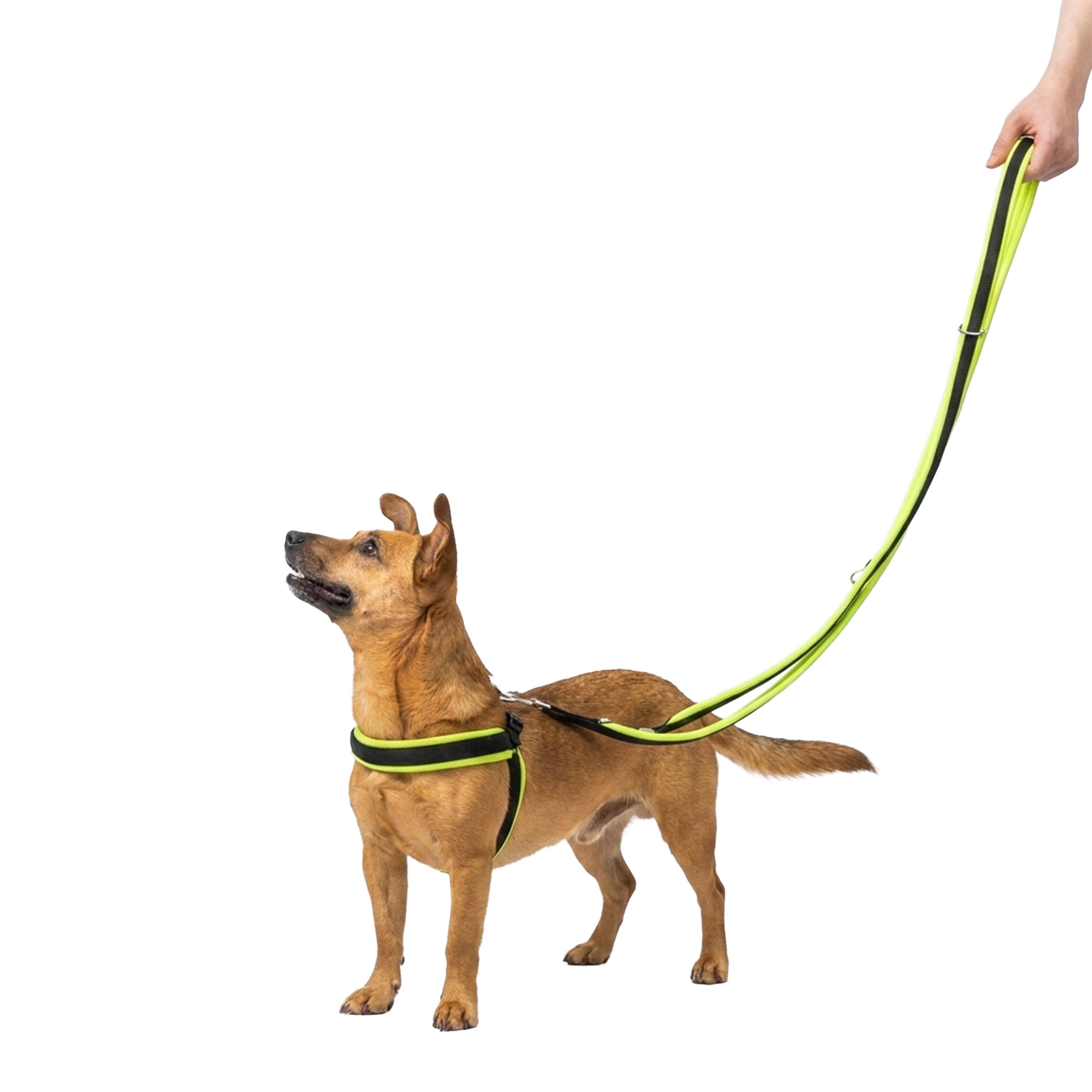 Ferplast - Laisse pour chien Ferplast ERGOFLUO, Laisse de dressage pour petit chien, Poignée Rembourrée, Mousqueton en métal. Longueur réglable. Taille 200 cm, - Imagen 5