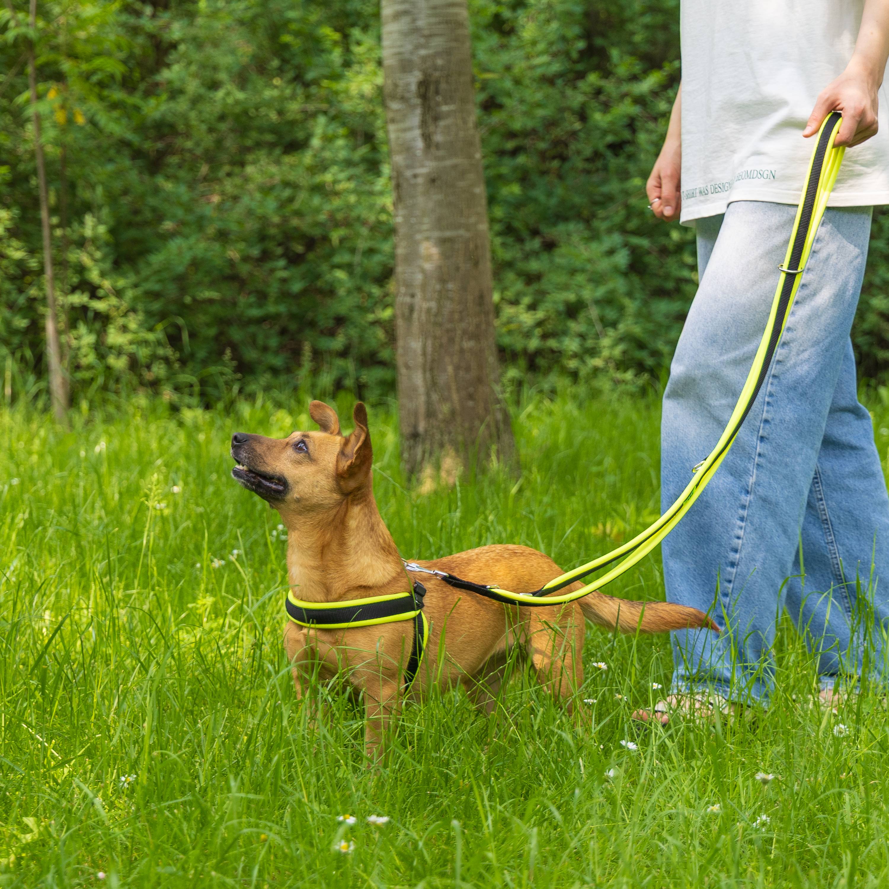 Ferplast - Laisse pour chien Ferplast ERGOFLUO, Laisse de dressage pour petit chien, Poignée Rembourrée, Mousqueton en métal. Longueur réglable. Taille 200 cm, - Imagen 3