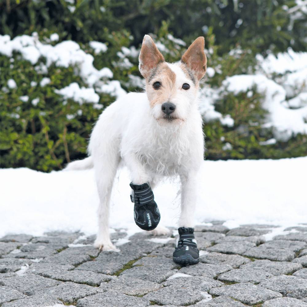 Bottes de protection Walker Active, Taille: XS-S, pour chien - Image 2