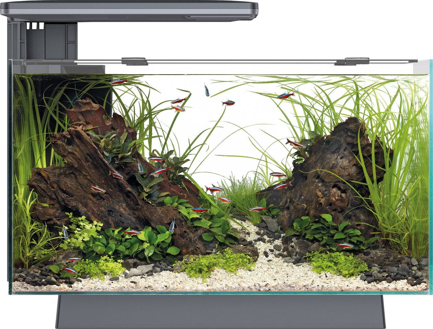 Superfish - Aquarium nano Superfish Quadro 40 Pro Noir 28 litres - SUPERFISH