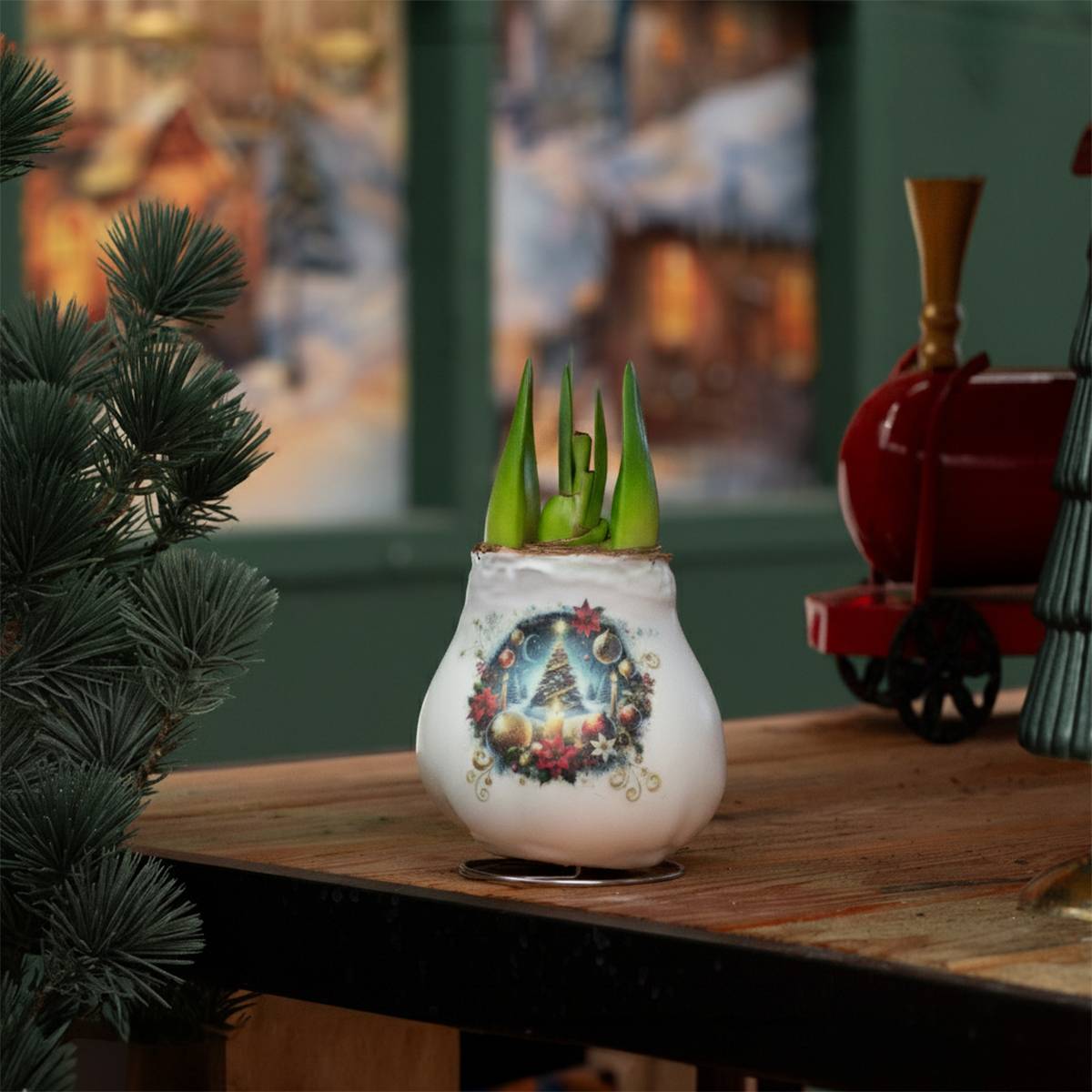 Lot de 2 - Bulbe d'Amaryllis en cire - Sapin de Noël - H. 15-25 cm à la livraison - Image 2