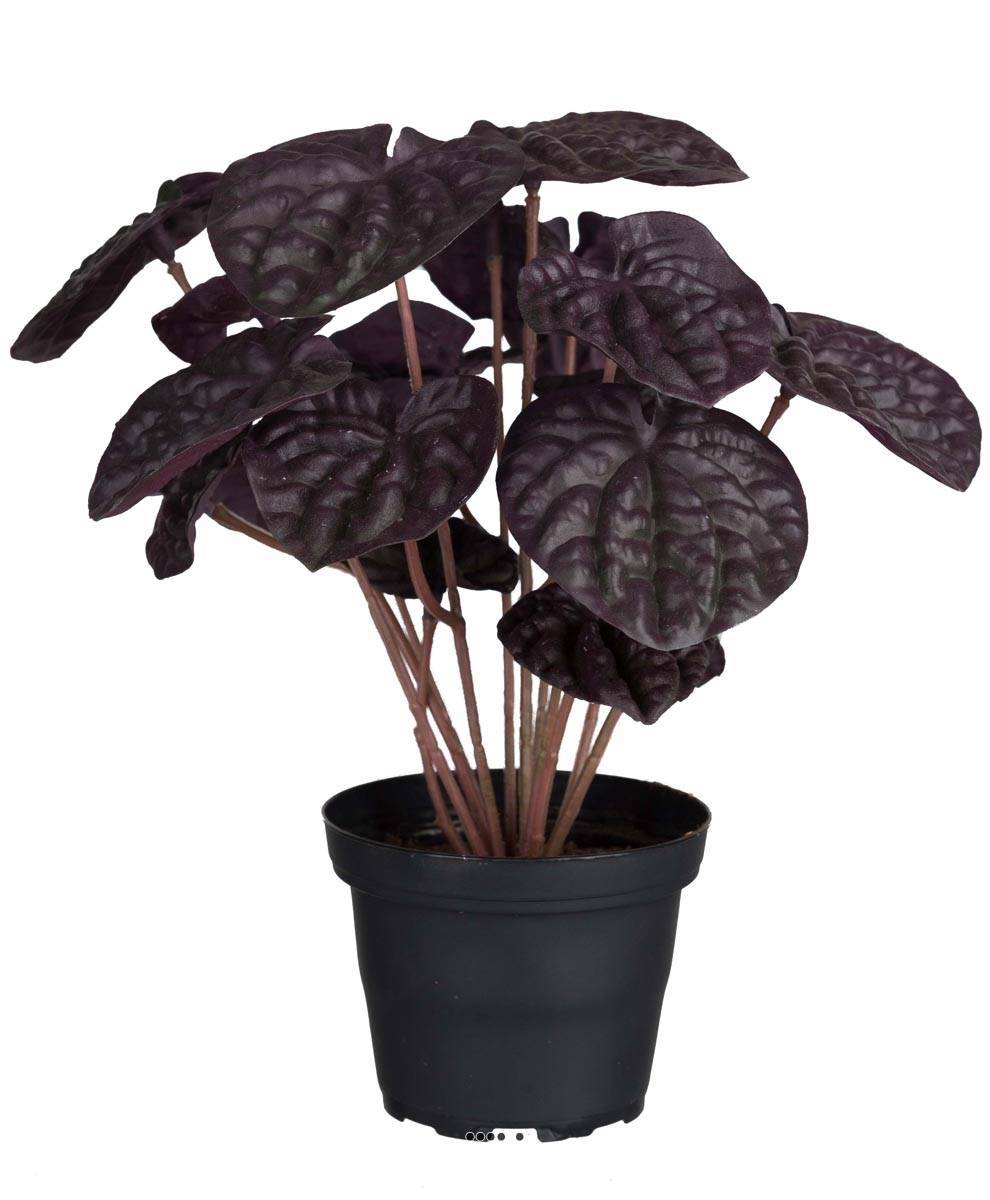 Artificielles - Peperomia fausse plante en pot lesté H20cmD20cm Top Qualité Vert-rouge - couleur: Vert-rouge - Imagen 1