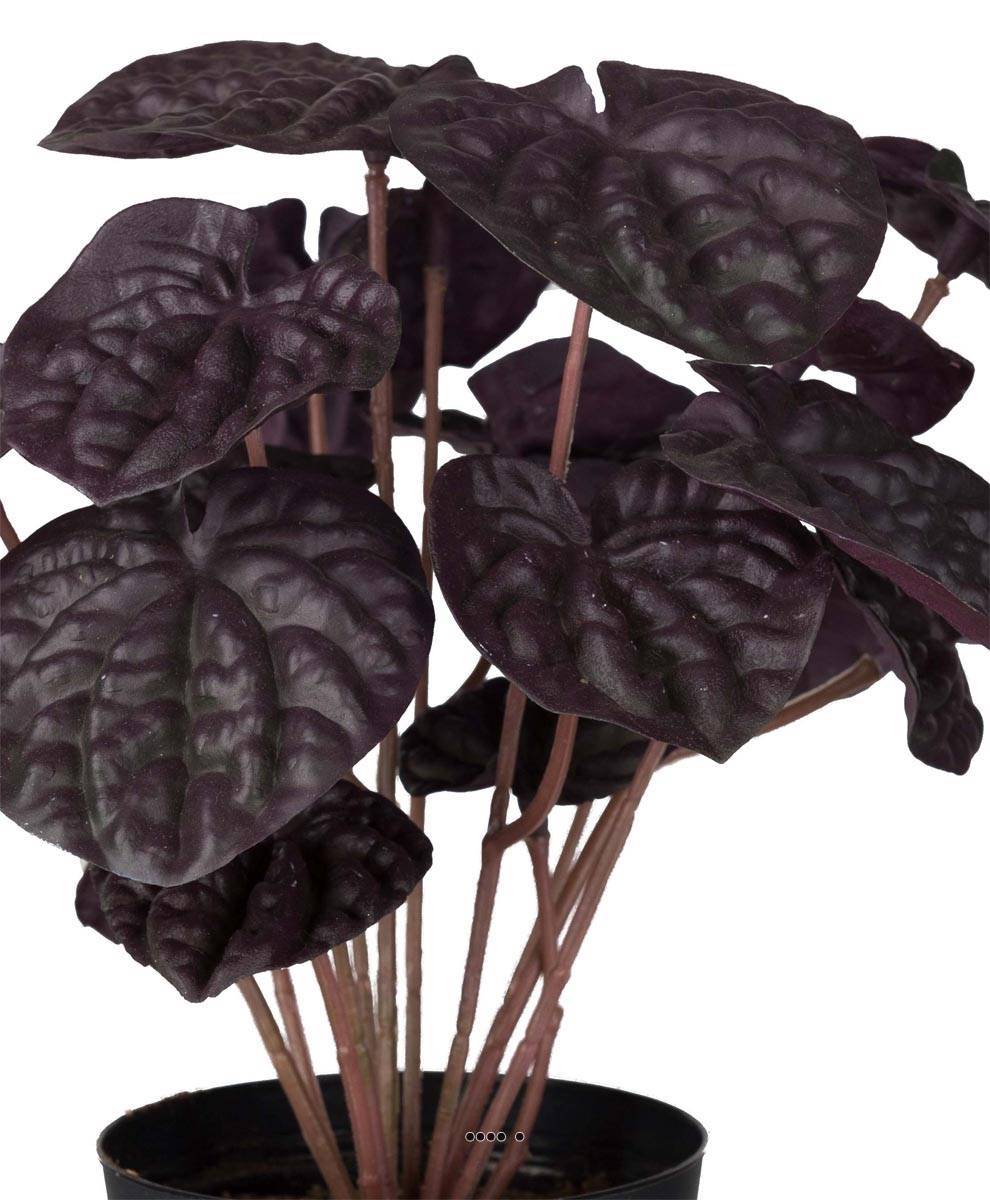 Artificielles - Peperomia fausse plante en pot lesté H20cmD20cm Top Qualité Vert-rouge - couleur: Vert-rouge - Imagen 3