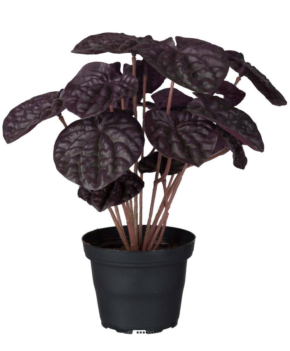 Artificielles - Peperomia fausse plante en pot lesté H20cmD20cm Top Qualité Vert-rouge - couleur: Vert-rouge - Imagen 2