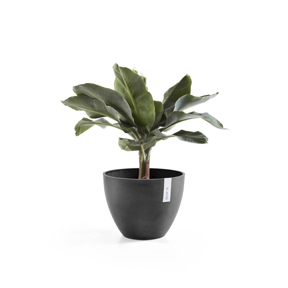 Ecopots - Pot Rond Antwerp 40 Gris Foncé - Ø 40 x H. 30 cm - 25 L ECOPOTS - Imagen 2