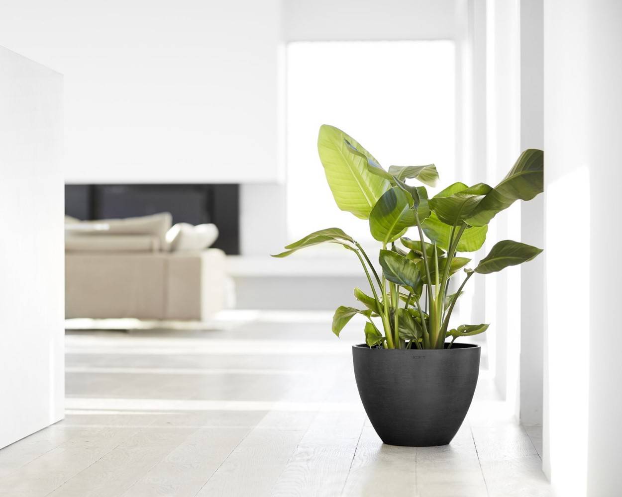 Ecopots - Pot Rond Antwerp 40 Gris Foncé - Ø 40 x H. 30 cm - 25 L ECOPOTS - Imagen 3