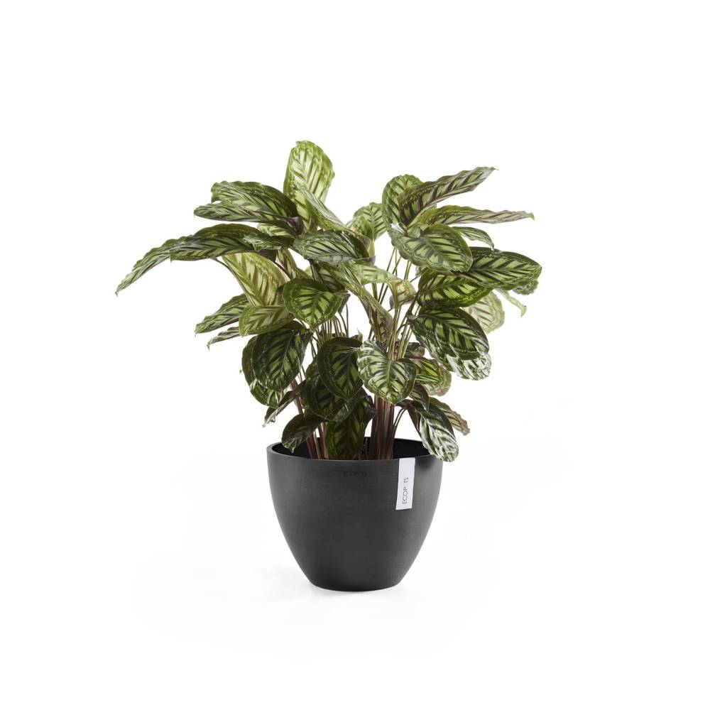 Ecopots - Pot Rond Antwerp 40 Gris Foncé - Ø 40 x H. 30 cm - 25 L ECOPOTS - Imagen 1