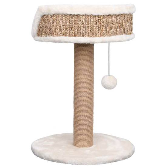 Arbre à chat, Tour à chat avec griffoirs 49 cm Herbiers marins MP49 - Image 5