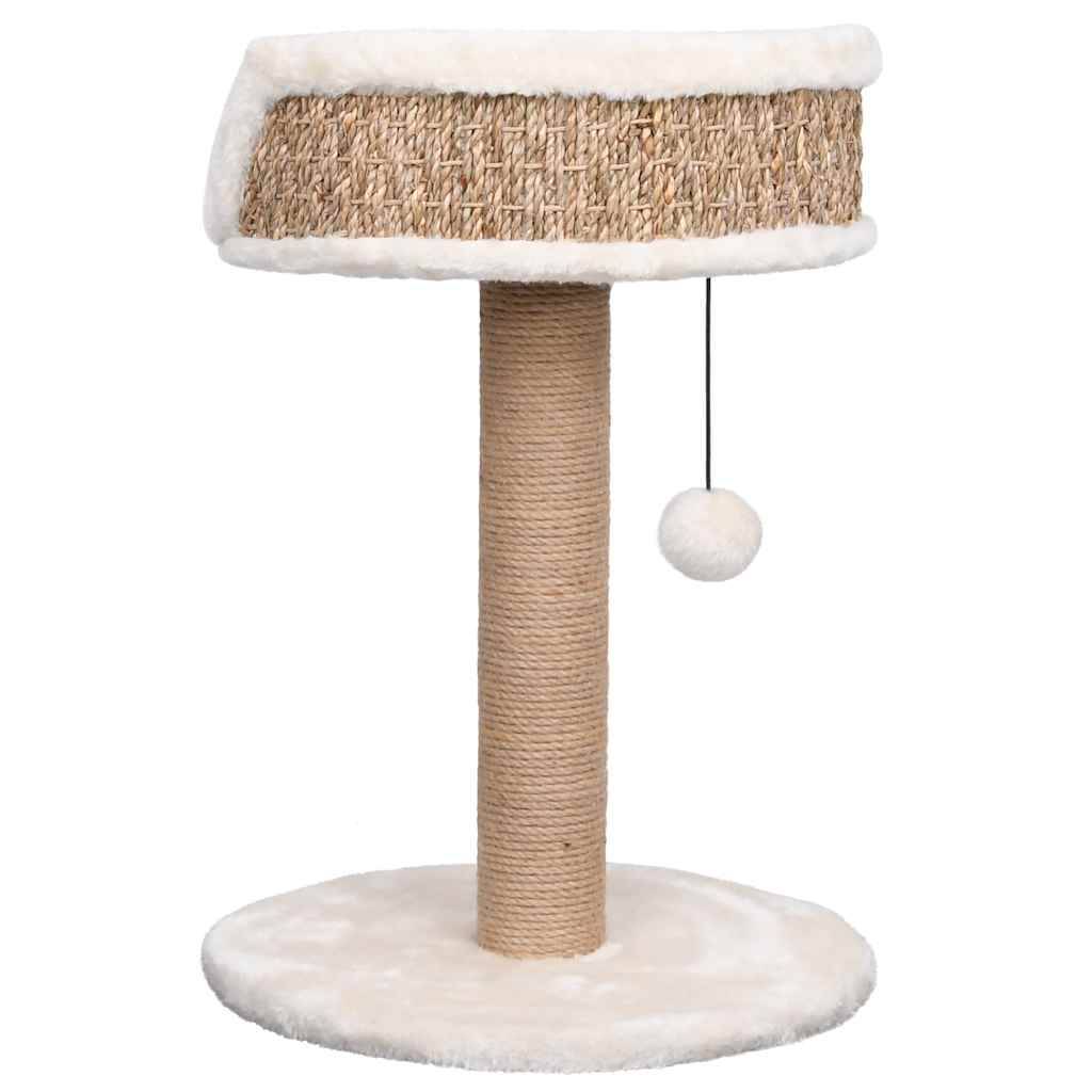 Arbre à chat, Tour à chat avec griffoirs 49 cm Herbiers marins MP49 - Image 5