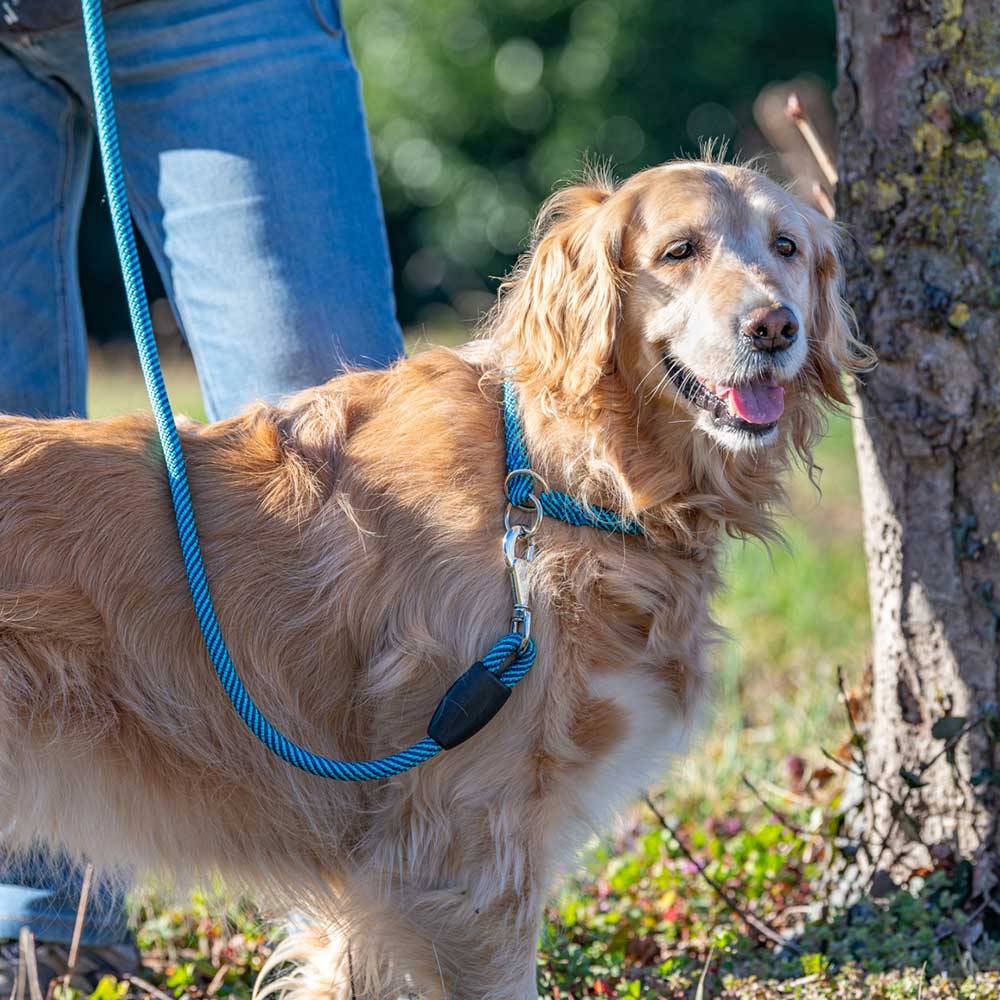 Ferplast - Laisse pour Chiens SPORT EXTREME G13/120, Longe en Nylon Robuste, Poignée Rembourrée Confortable, Rose-Noir - Imagen 3