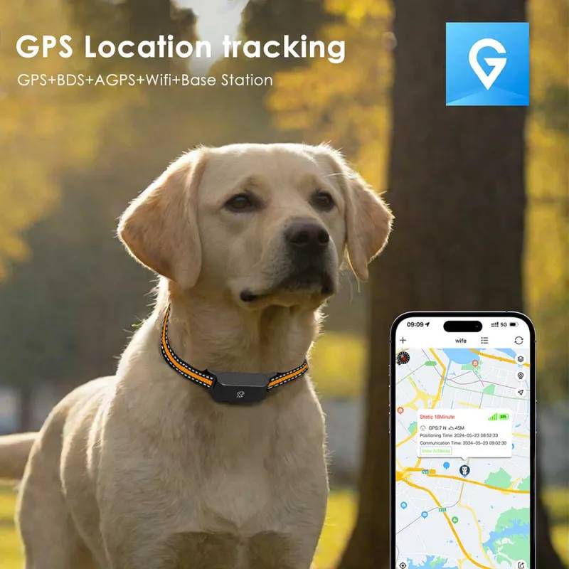 Autre - Collier traceur GPS 4G pour animaux - IP65 - Application gratuite - Image 2
