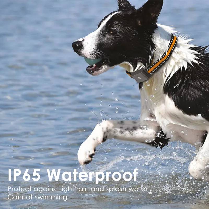 Autre - Collier traceur GPS 4G pour animaux - IP65 - Application gratuite - Image 5