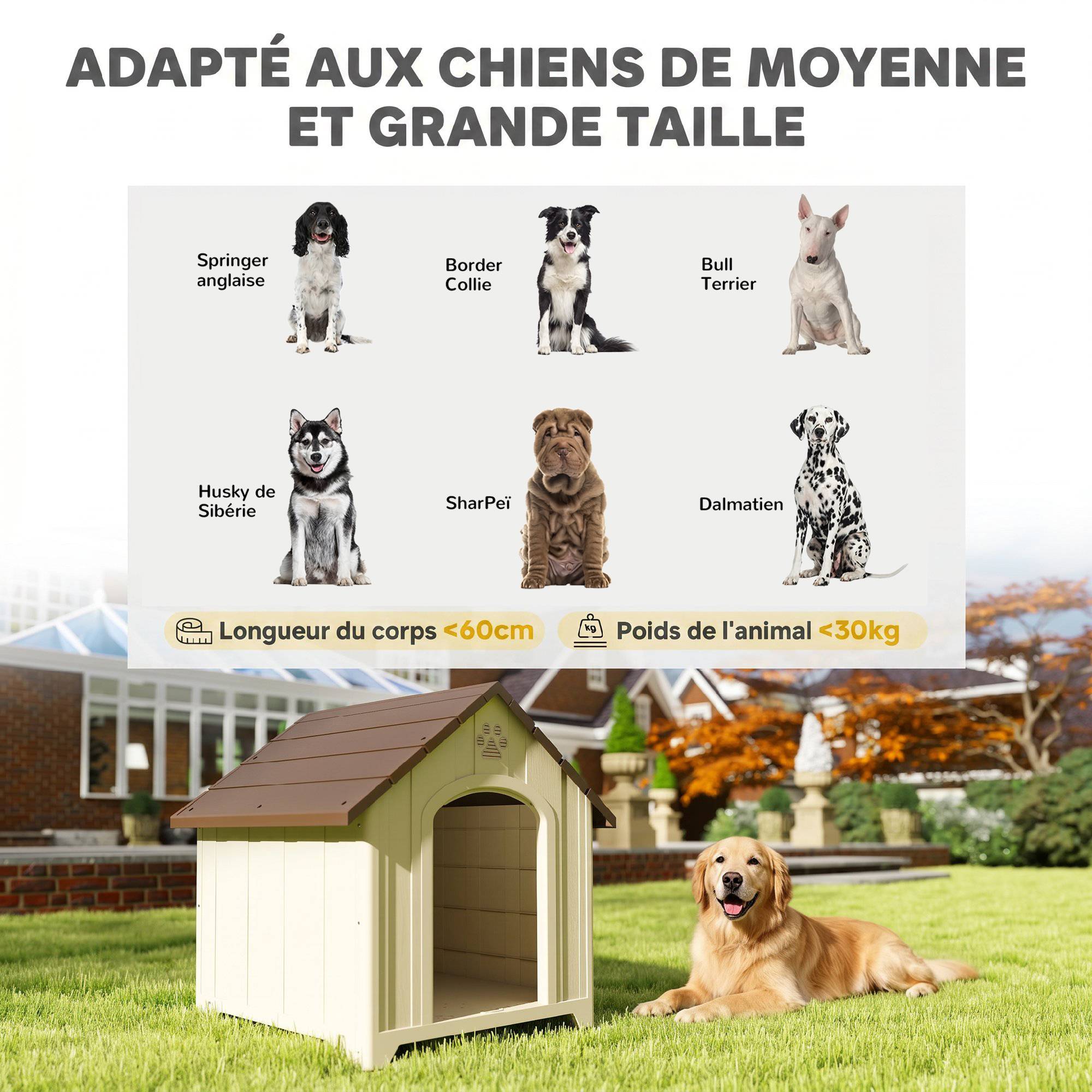 ComfortXL - Niche pour chien extérieure en polypropylène beige 88 x 79 x 89 cm avec plancher surélevé et ventilation - Image 5