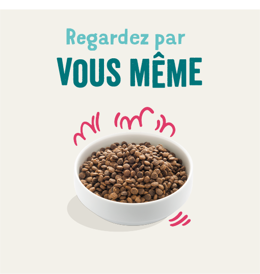 Edgard & Cooper - Edgard Cooper - Croquettes Bio Boeuf & Poulet pour Chien - Image 2