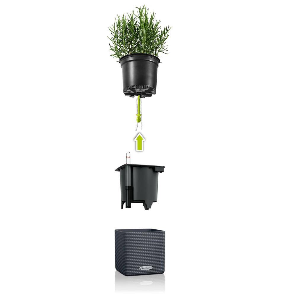 Lechuza - CUBE Color 16 - Kit Complet, gris ardoise 16 cm Lechuza - Imagen 4
