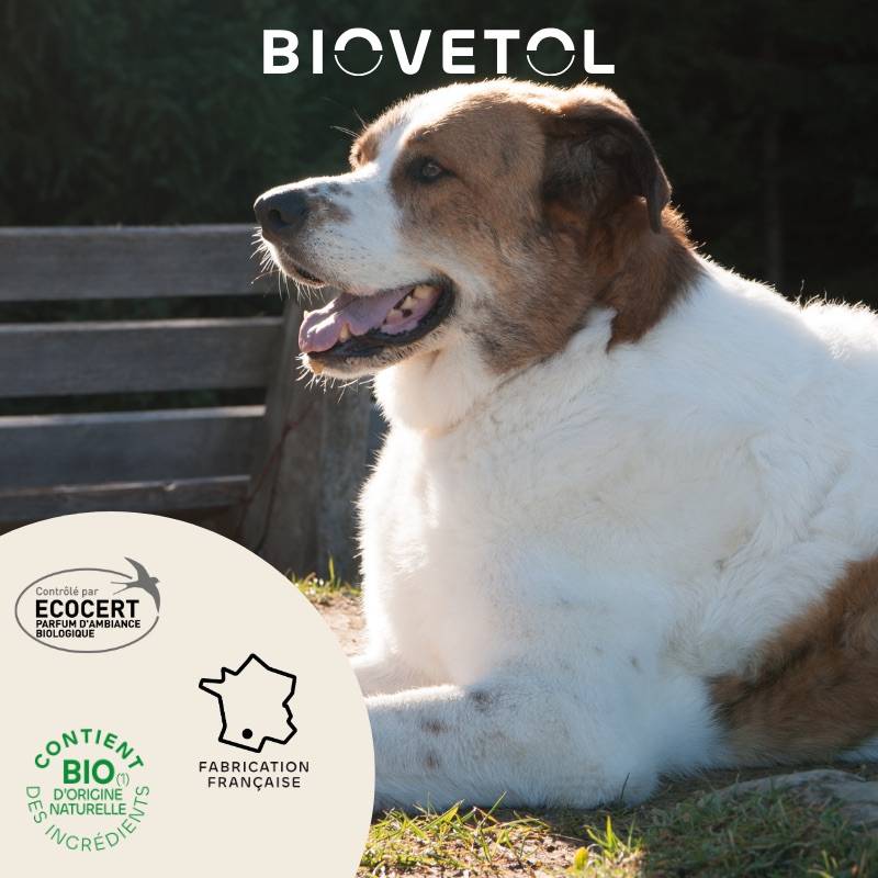 Lotion Destruct'urine BIOVETOL : chiot et chien BIOVETOL - Image 3