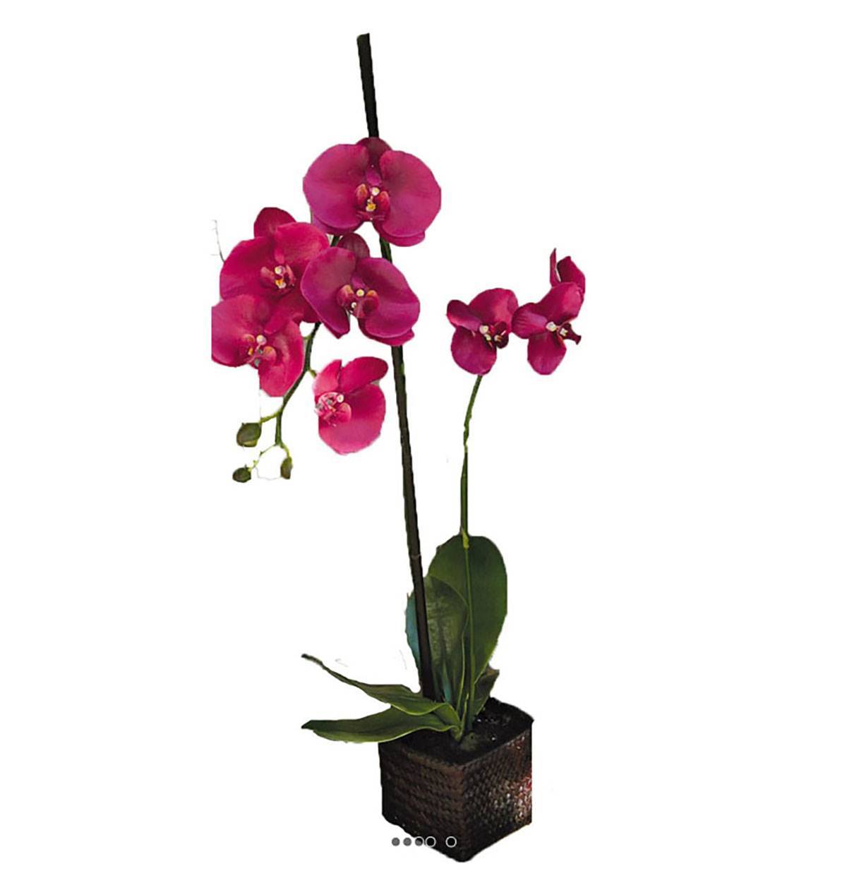Artificielles - Sublime orchidée artificielle en pot H 75 cm Rose fushia - couleur: Rose fushia 730 - Imagen 1