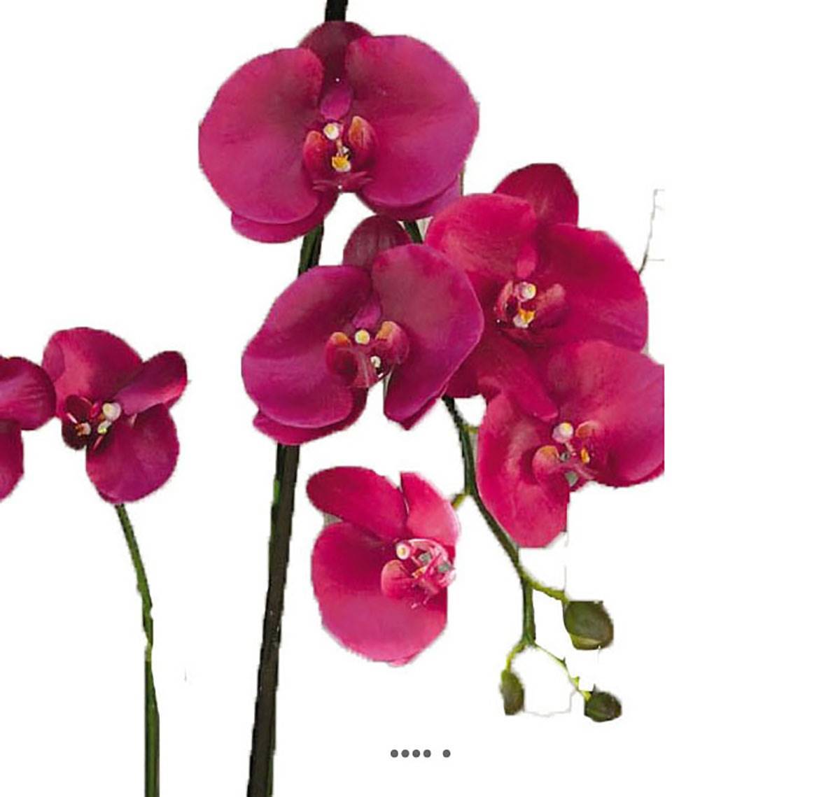 Artificielles - Sublime orchidée artificielle en pot H 75 cm Rose fushia - couleur: Rose fushia 730 - Imagen 3