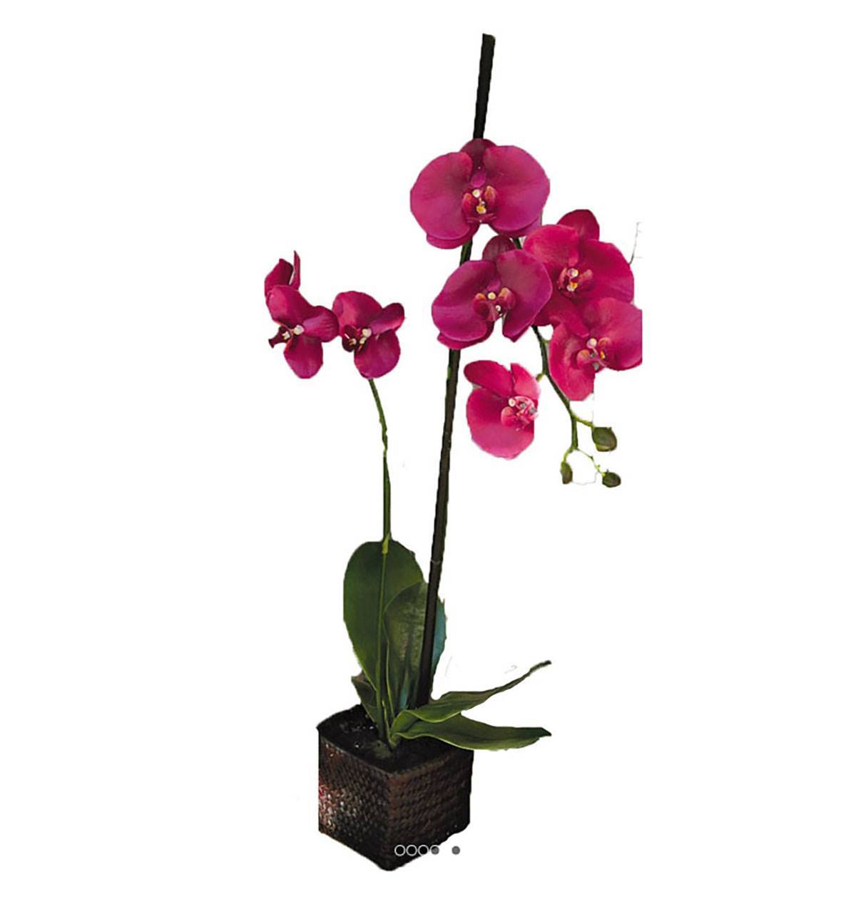 Artificielles - Sublime orchidée artificielle en pot H 75 cm Rose fushia - couleur: Rose fushia 730 - Imagen 2