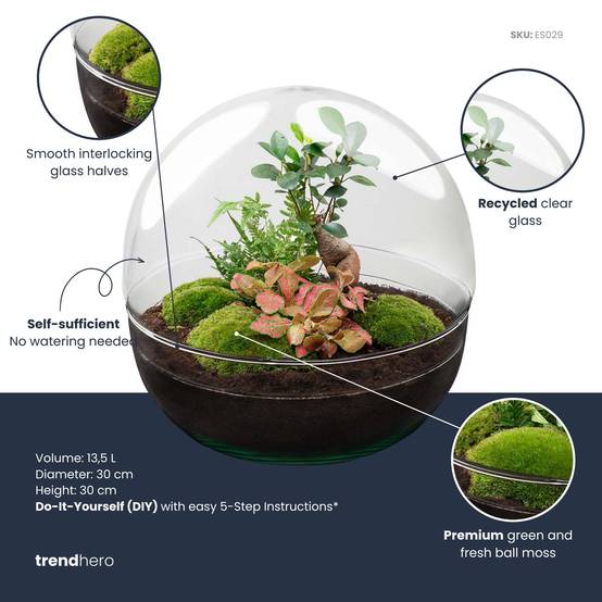 Kit Terrarium Diy - D30 H30cm - Image 2