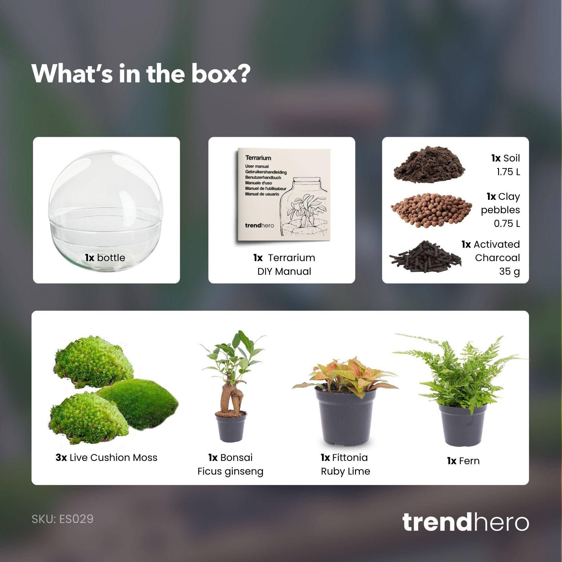 Kit Terrarium Diy - D30 H30cm - Image 3