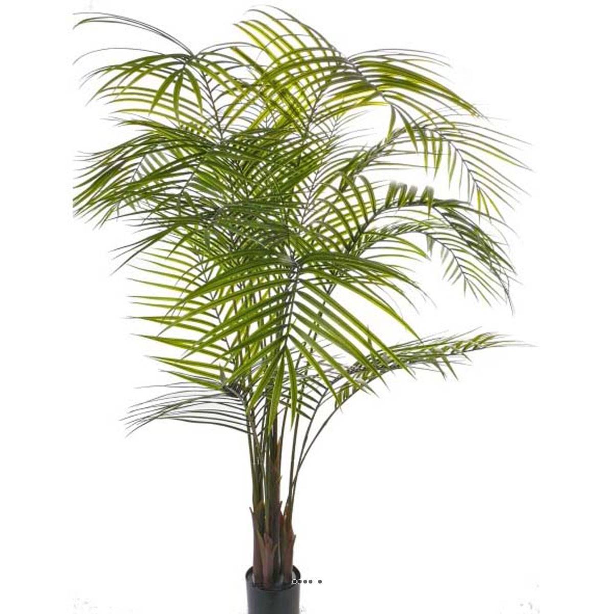 Artificielles - Palmier Areca artificiel H 175 cm en plastique anti-UV en pot - dimhaut: H 175 cm - couleur: Vert