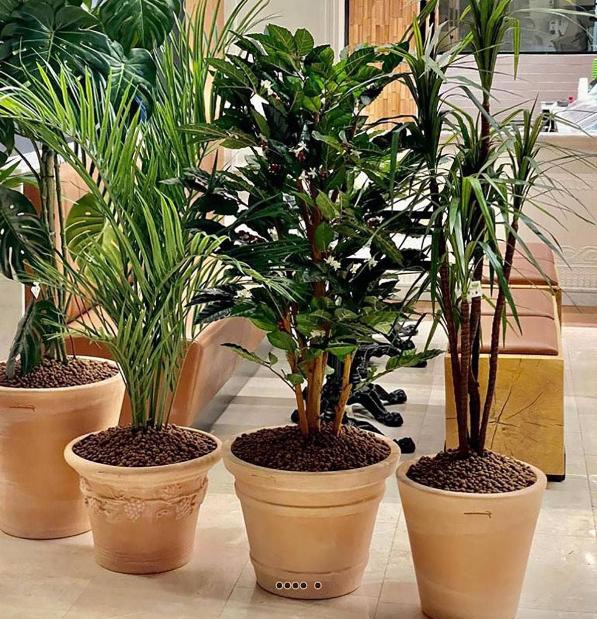 Artificielles - Cuvier moulure en terre cuite H 32 cm D 39 cm Terre cuite - dimhaut: H 32 cm - couleur: Terre cuite - Imagen 2