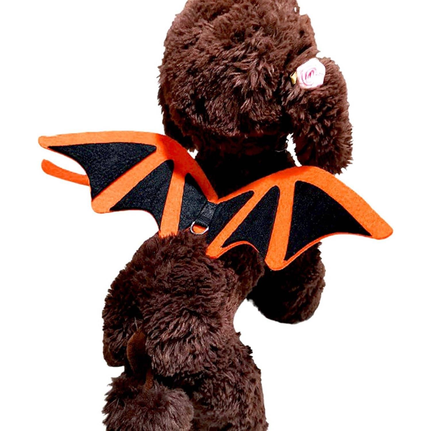 DtopbuyAge - Déguisement Halloween pour Chien - Facile à Mettre M DtopbuyAge - Image 3