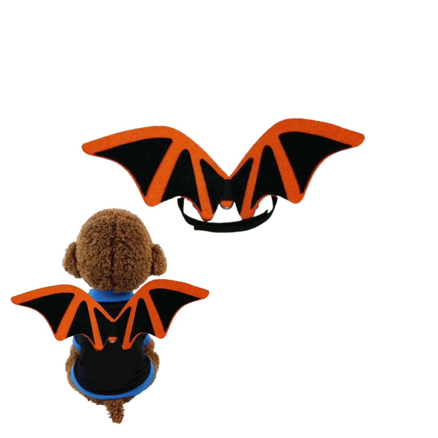 DtopbuyAge - Déguisement Halloween pour Chien - Facile à Mettre M DtopbuyAge - Image 1