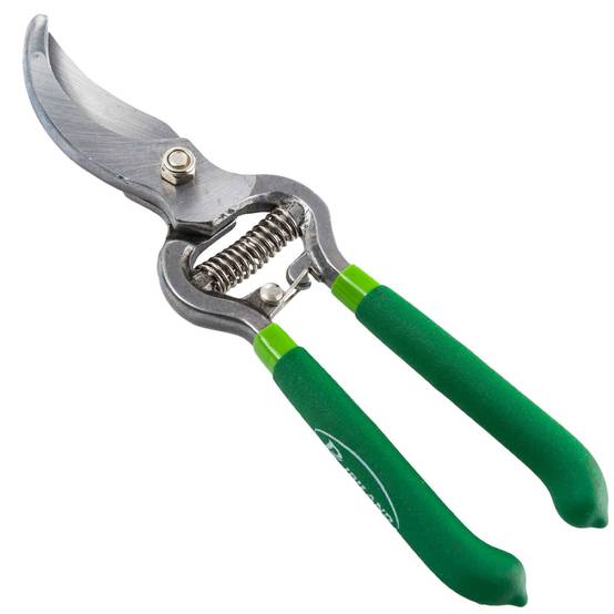 Ribimex - Sécateur forgé lames courbes 250 mm - Image 3
