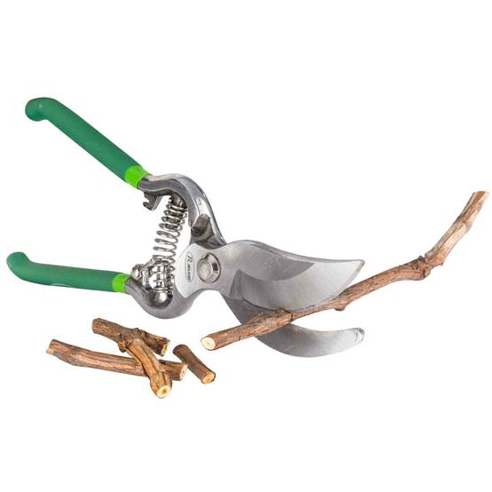 Ribimex - Sécateur forgé lames courbes 250 mm - Image 2